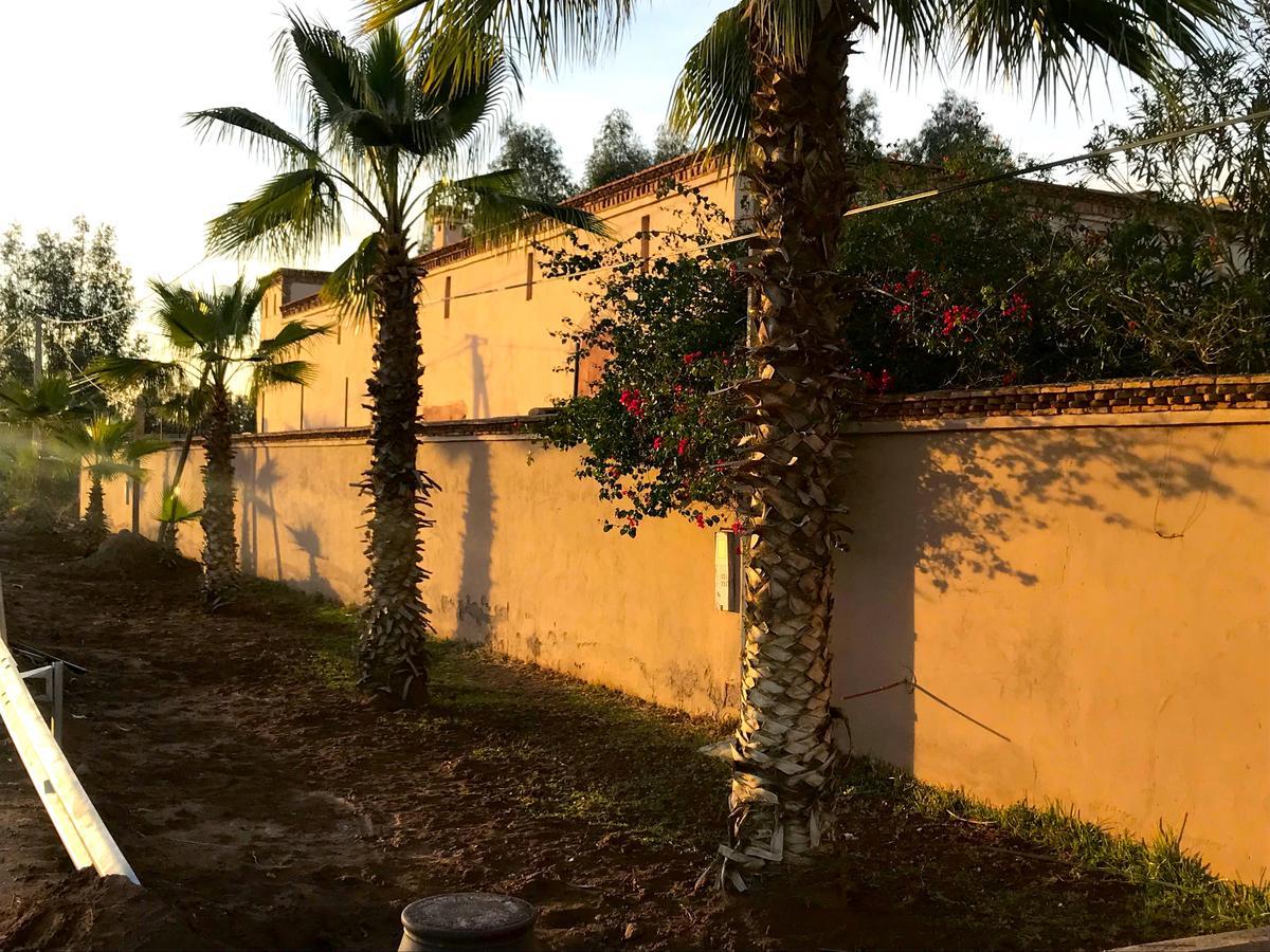 Palais Souad Villa Marrakesh Eksteriør bilde